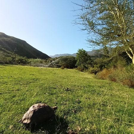 Vila Assegai Rest Robertson Exteriér fotografie
